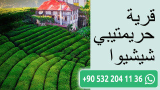 قرية حريمتيبي شيشيوا